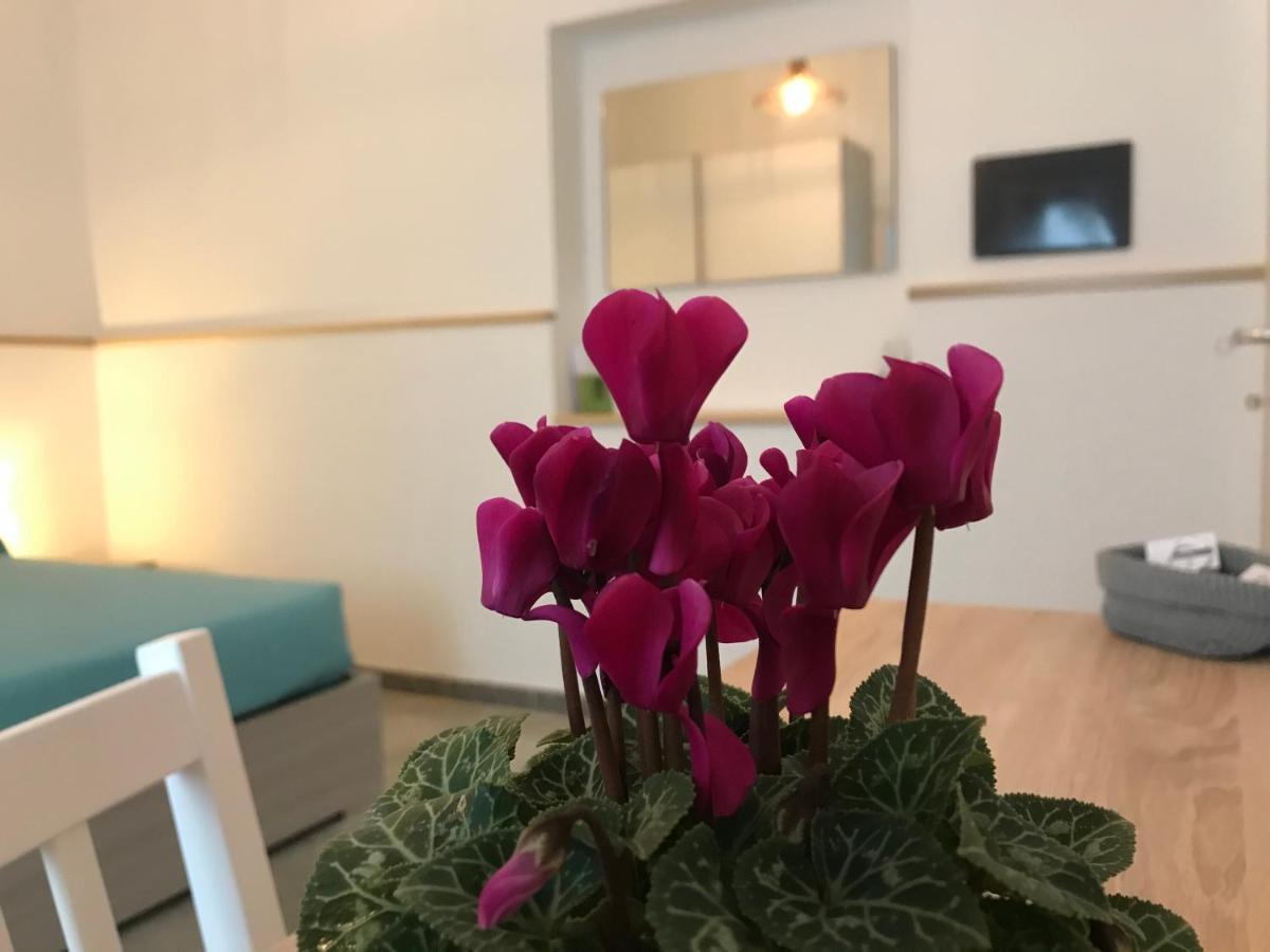 40° Parallelo Guest House 里奥拉萨尔多 外观 照片